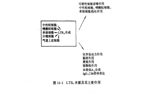 花生四烯酸的脂氧化酶代謝產物