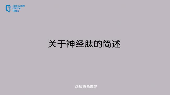 關于神經肽的簡述