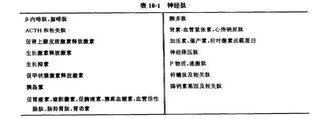 關于神經肽的簡述