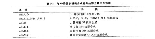 內(nèi)毒素分子的跨膜轉(zhuǎn)運和O-特異多糖鏈合成的遺傳學研究