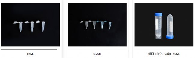 ΢xĹ EP